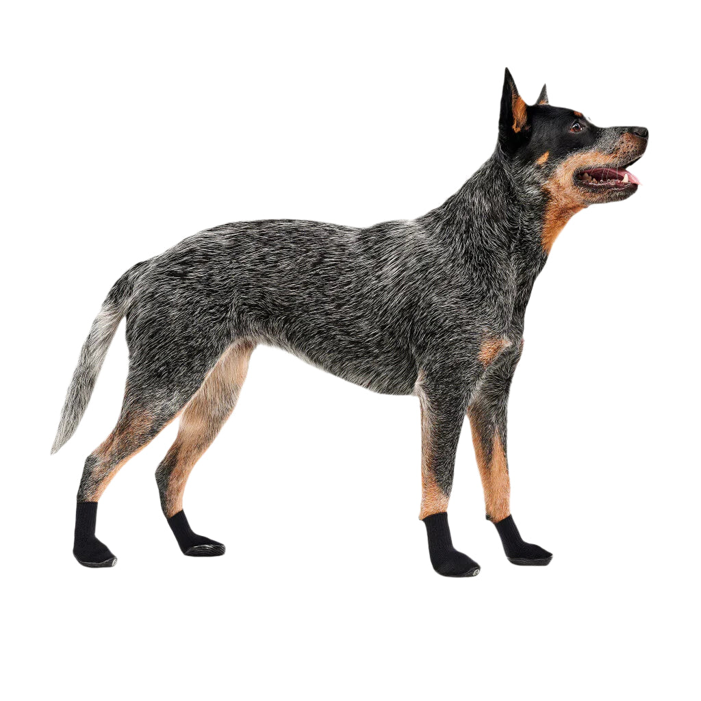 Goo-eez Dog Boots Ultras 2-Pack - XXS-XXL - Woeff