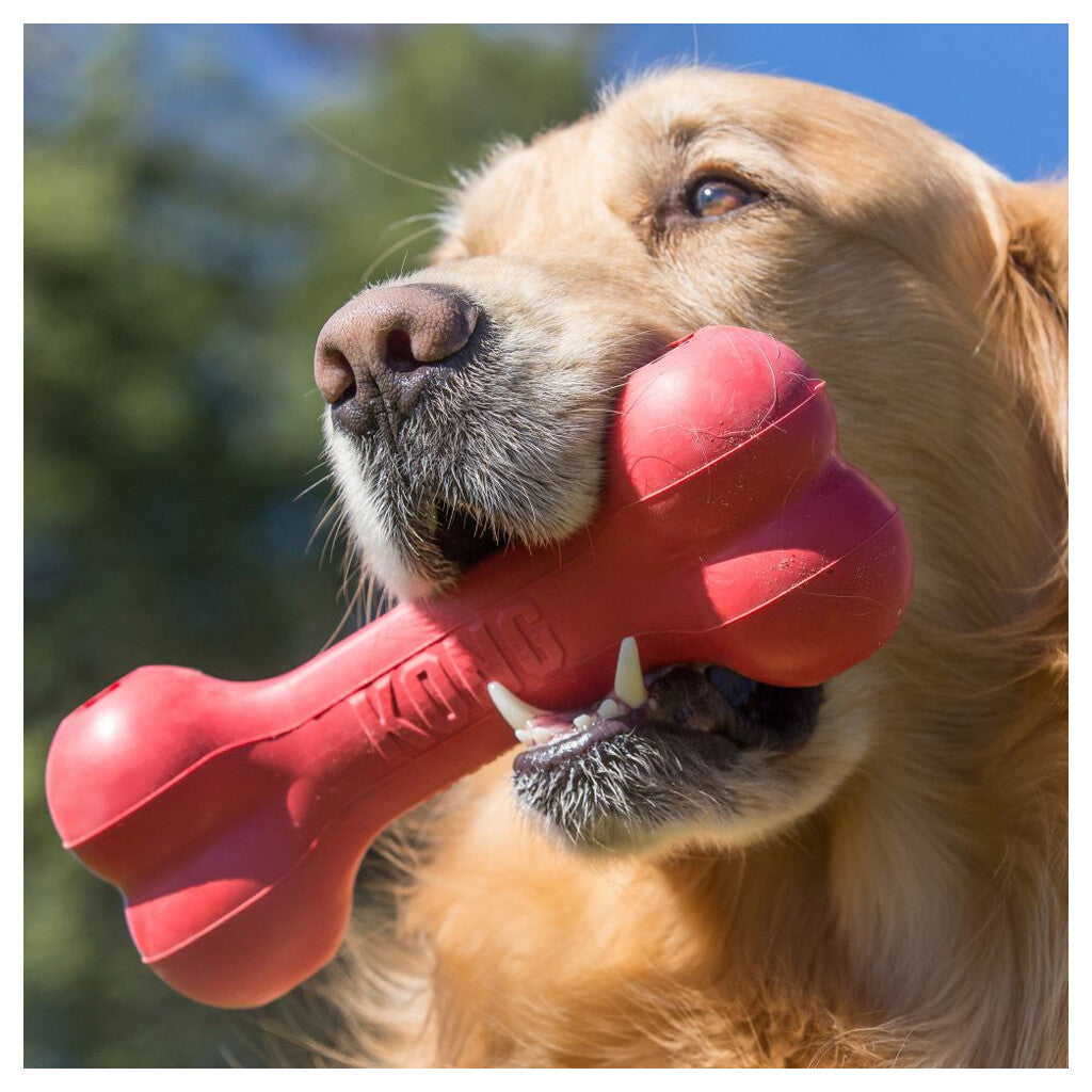 KONG Goodie Bone S-L