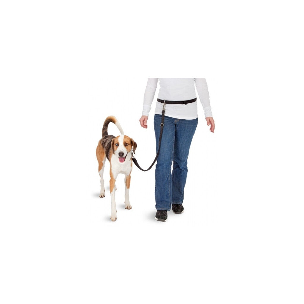 Pawise Hands Free Doggy Jogger Kit - Woeff