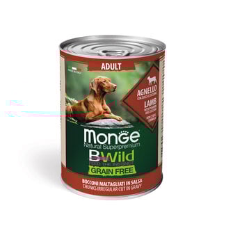 Bwild Grain Free - Stukjes Lamsvlees in Saus met Pompoen en Courgette – Adult - 400 gr - Woeff