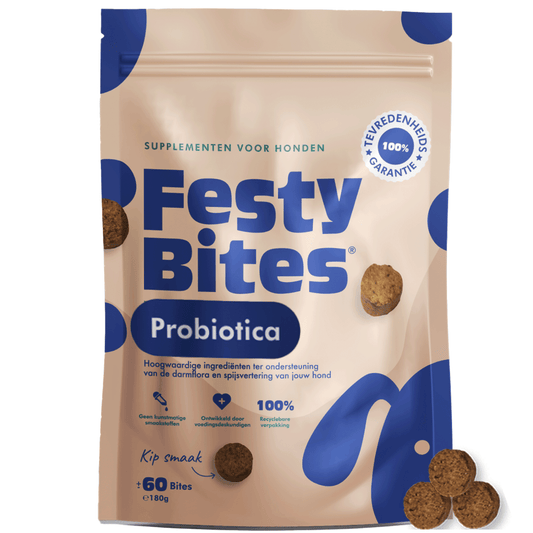 FestyBites - Probiatica Kipsmaak - 60 Bites 180 gr - Woeff