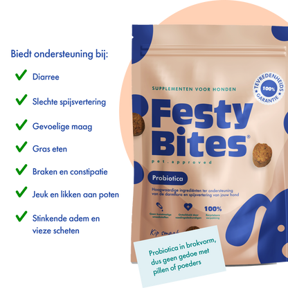 FestyBites - Probiatica Kipsmaak - 60 Bites 180 gr - Woeff