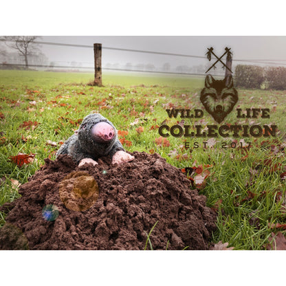 Wild Life Collection Mol - Woeff